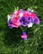 Raindrops on Roses Floral Design preview